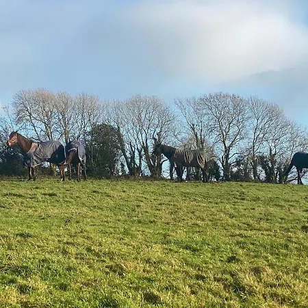 The Stables * Midleton